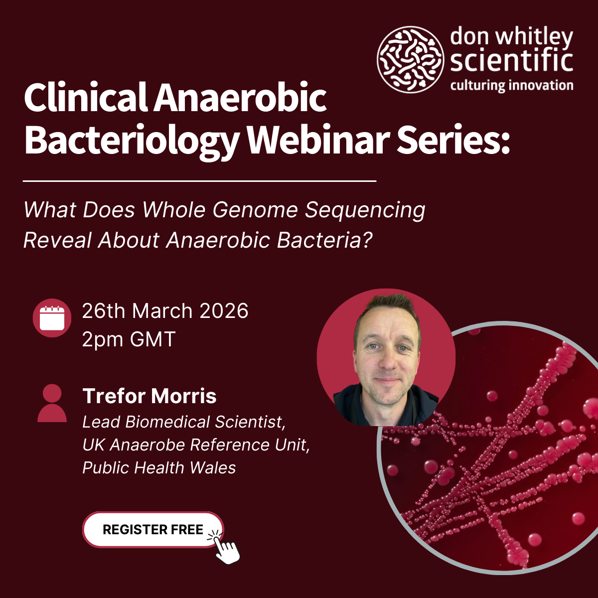 What Does Whole Genome Sequencing Reveal About Anaerobic Bacteria? Free Webinar on WGS and Anaerobes - Empirica
